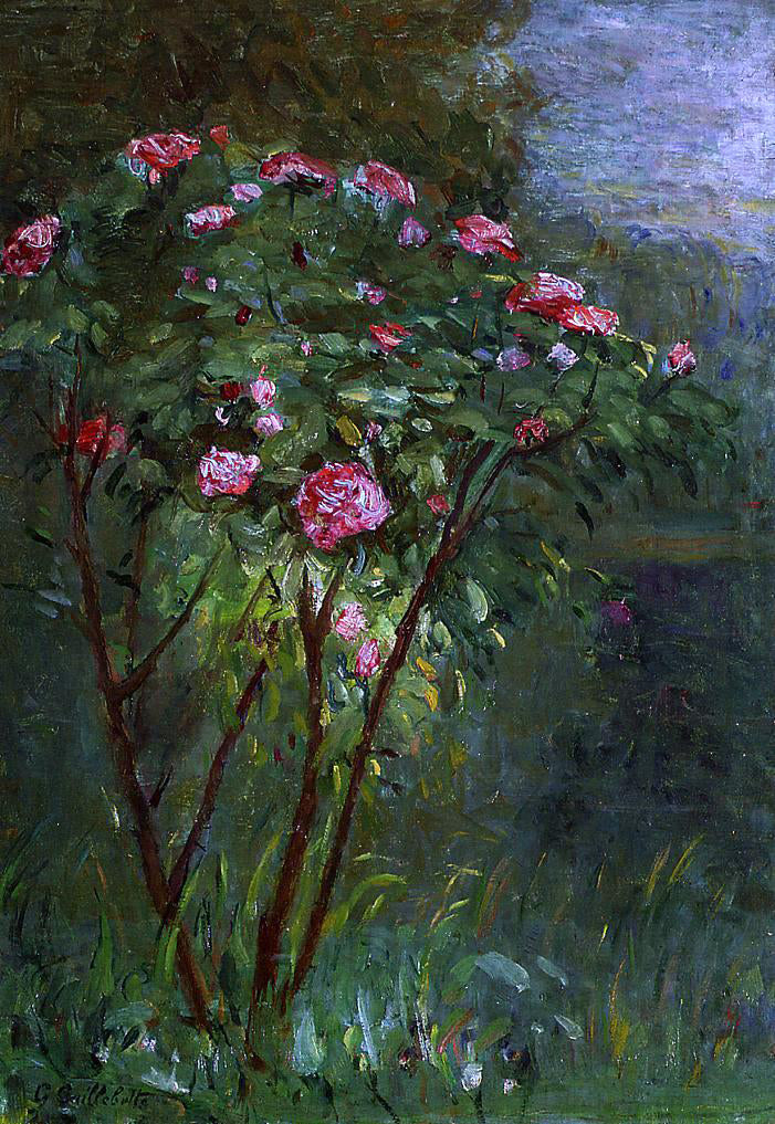  Gustave Caillebotte Rose Bush in Flower - Canvas Print