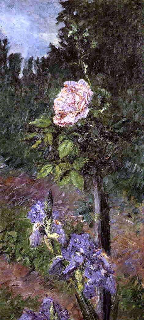  Gustave Caillebotte Rose with Purple Iris, Garden at Petit Gennevilliers - Canvas Print