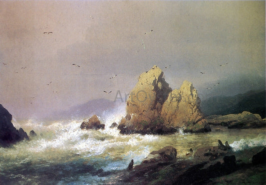  Herman Herzog Seal Rocks - Canvas Print