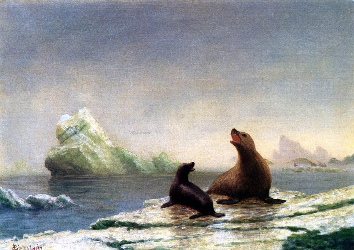  Albert Bierstadt Seals - Canvas Print