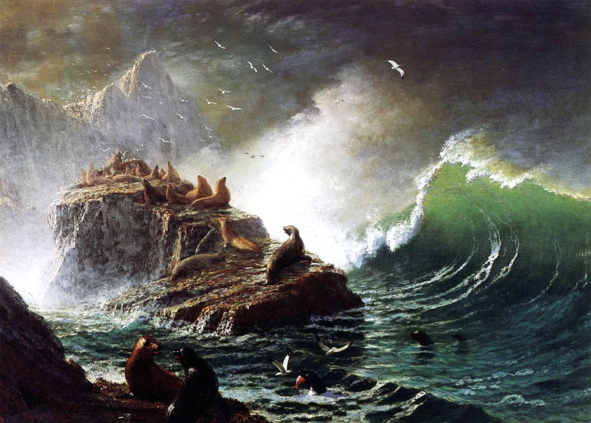  Albert Bierstadt Seals on the Rocks, Farallon Islands - Canvas Print