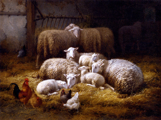  Theo Van Sluys Sheep And Chickens In A Farm Interior - Canvas Print