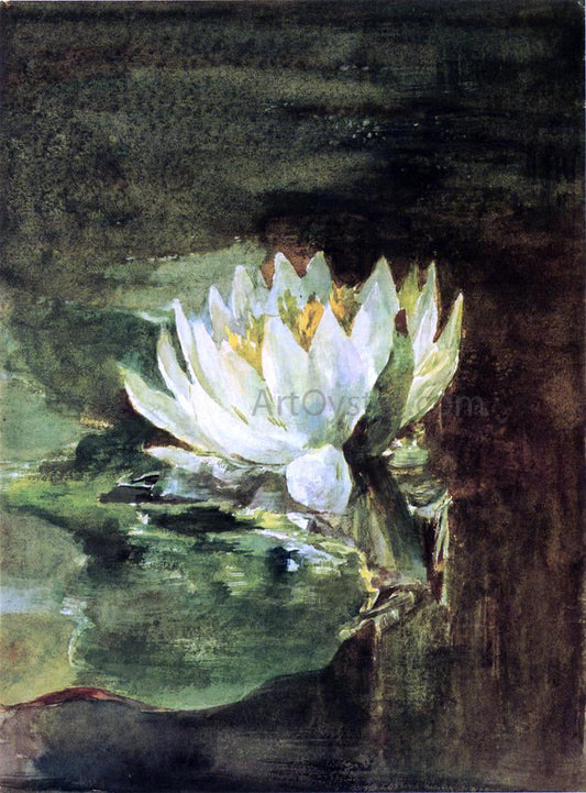  John La Farge Single Water-Lily in Sunlight - Canvas Print