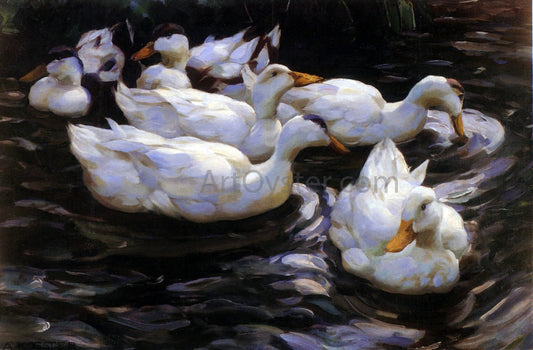  Alexander Koester Six Ducks in a Pond - Canvas Print