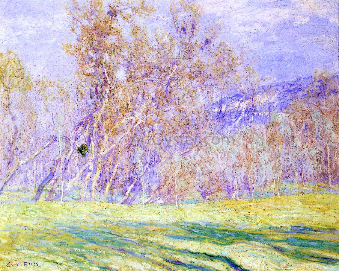  Guy Orlando Rose Spring - Canvas Print