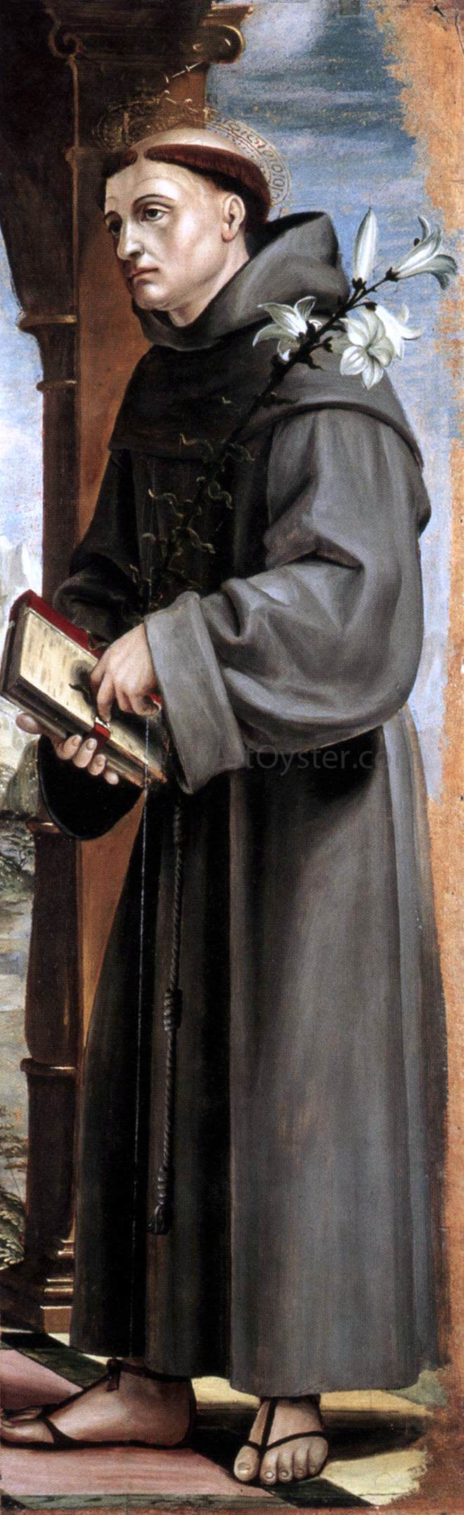  Bernardo Zenale St Anthony of Padua - Canvas Print