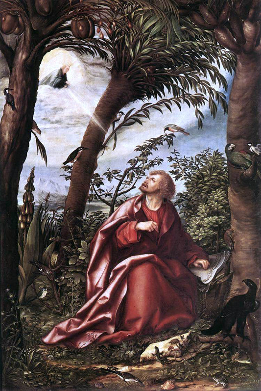  Hans Burgkmair St John the Evangelist in Patmos - Canvas Print