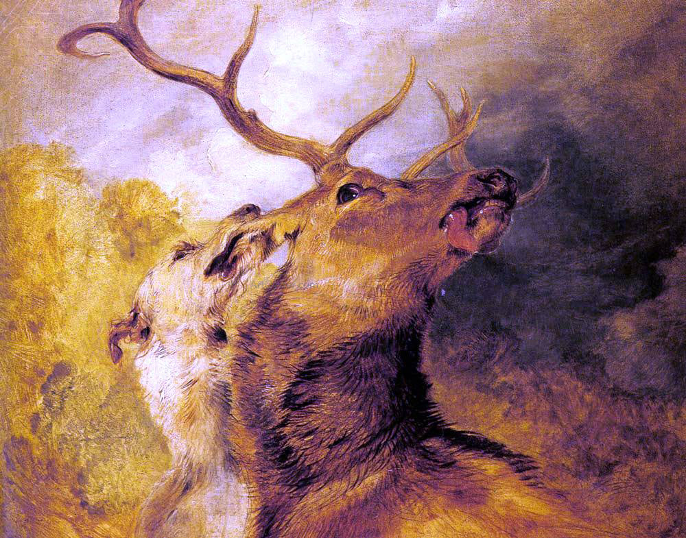  Sir Edwin Henry Landseer Stag and Hound - Canvas Print