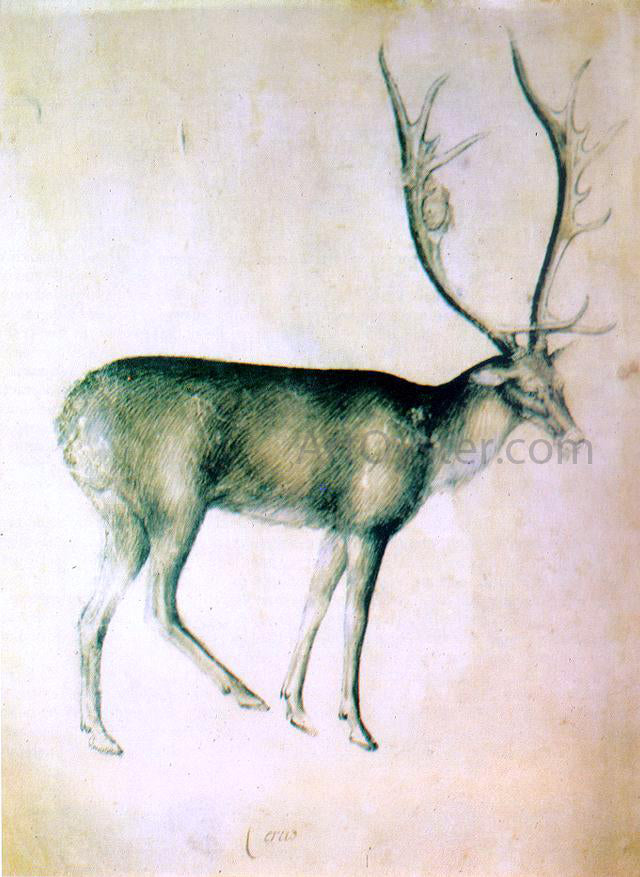  Giovannino De' Grassi Stag (from a sketch-book) - Canvas Print