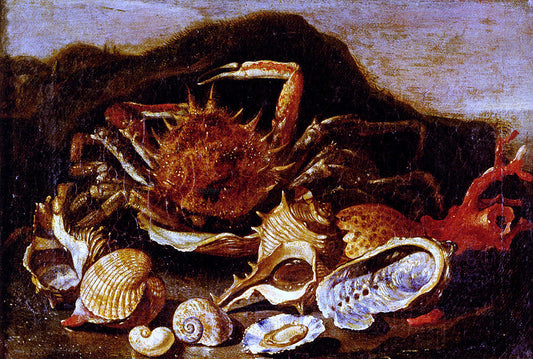  Paolo Porpora Still Life Of A Crab, Shells And Coral In A Landscape - Canvas Print