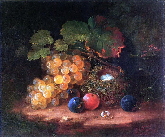  George Forster Still Life with Fruit, Bird's Nest and Broken Egg - Canvas Print