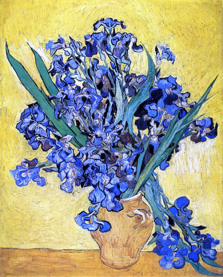  Vincent Van Gogh A Still Life with Irises - Canvas Print