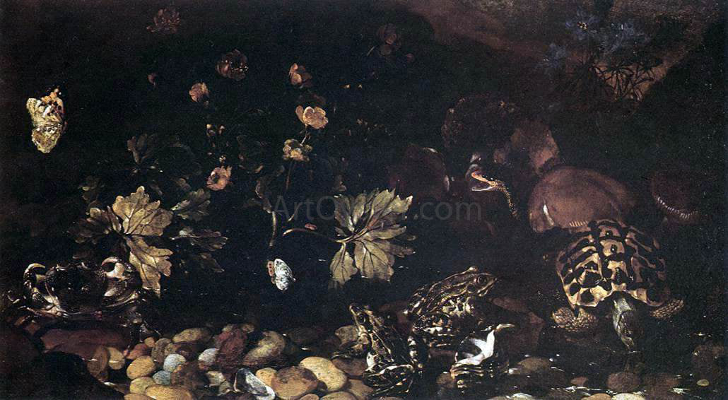  Paolo Porpora Still-Life with a Snake, Frogs, Tortoise and a Lizard - Canvas Print