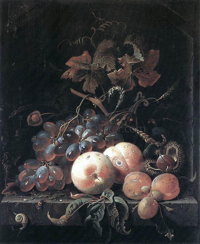  Abraham Mignon Still-Life with Fruits - Canvas Print