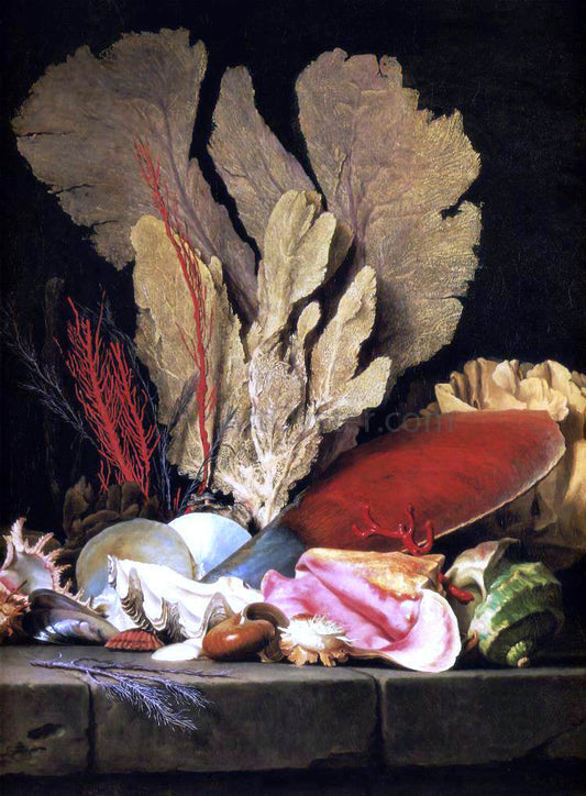 Anne Vallayer-Coster Still-Life with Tuft of Marine Plants, Shells and Corals - Canvas Print