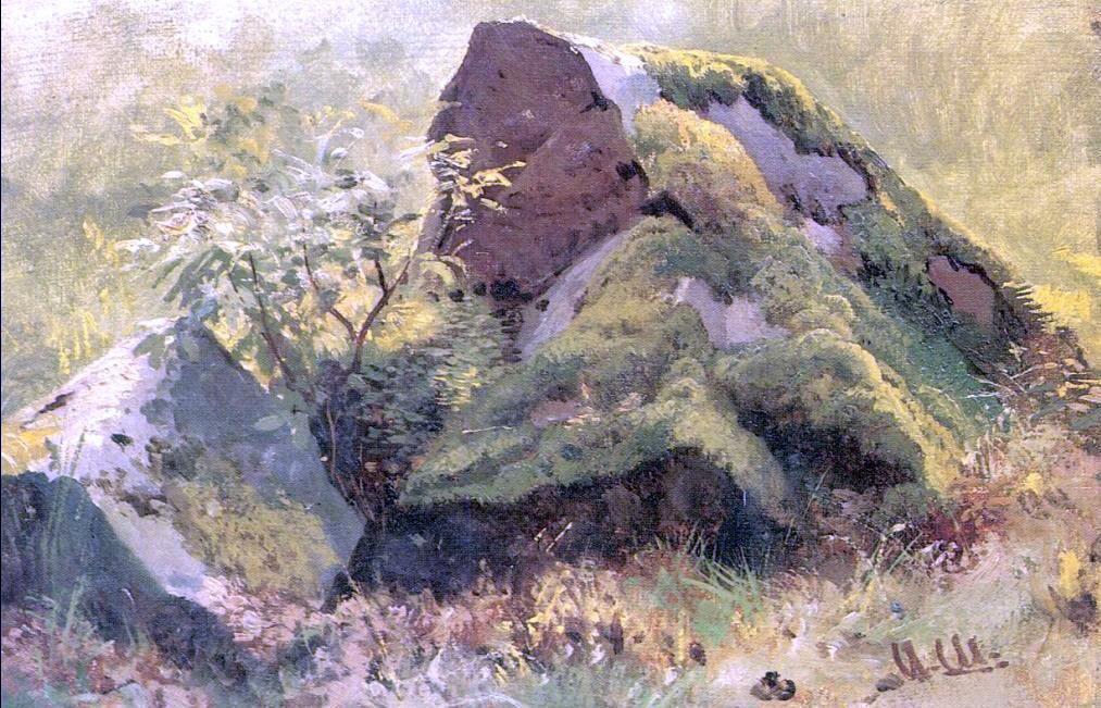  Ivan Ivanovich Shishkin Stones (etude) - Canvas Print