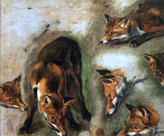  Pieter Boel Studies of a Fox - Canvas Print