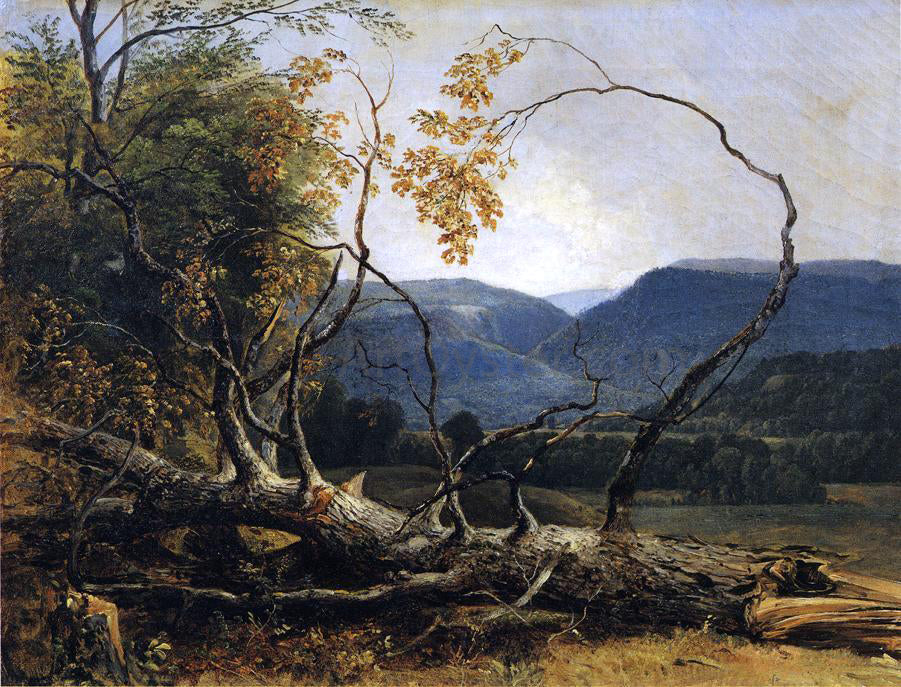  Asher Brown Durand Study from Nature, Stratton Notch, Vermont - Canvas Print