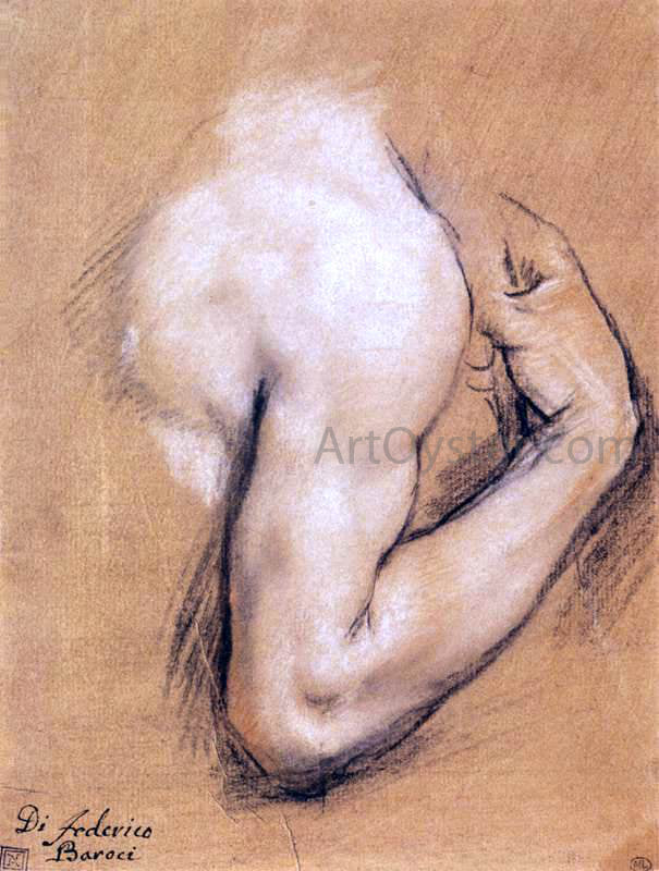  Federico Fiori Barocci Study of a Bent Right Arm - Canvas Print