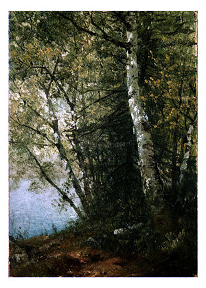  John Frederick Kensett Study of Beeches - Canvas Print