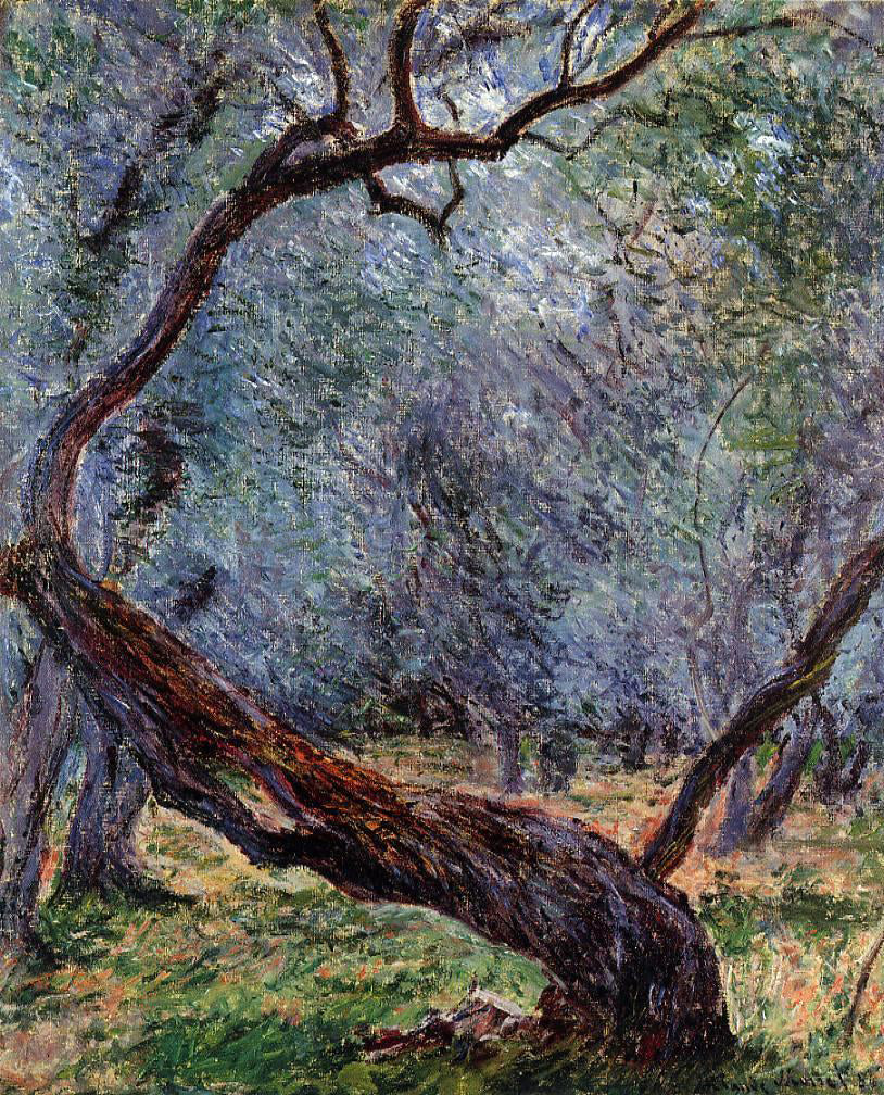  Claude Oscar Monet Study of Olive Trees - Canvas Print