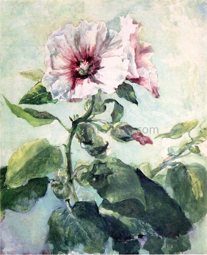  John La Farge Study of Pink Hollyhock in Sunlight, From Nature - Canvas Print