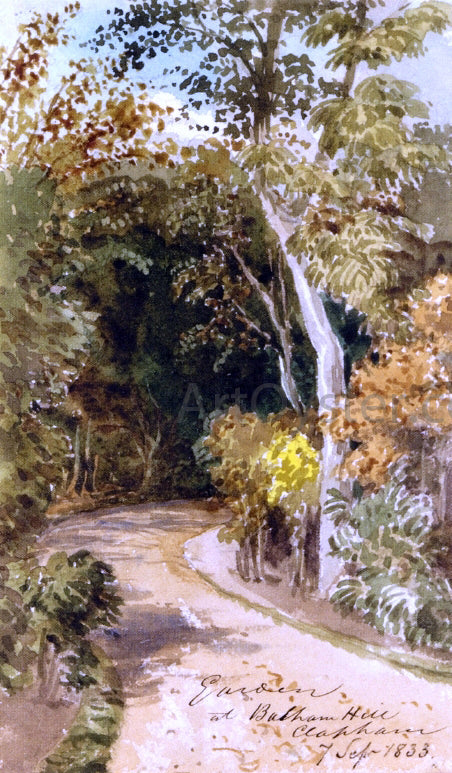  Thomas Lindsay Study of Trees in South-West London - Canvas Print