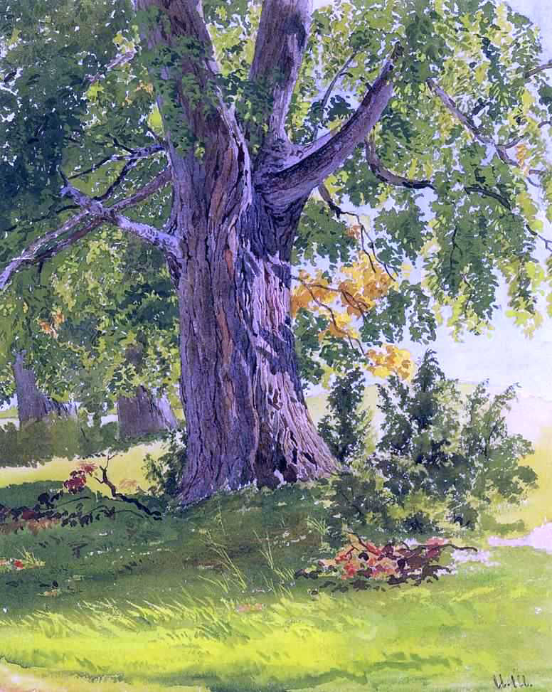  Ivan Ivanovich Shishkin Sunny Oak - Canvas Print