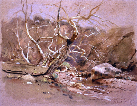  Jr. Samuel Colman Sycamore Canyon - Canvas Print
