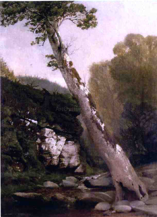  John Williamson Sycamore, Catskill Clove, Below Haines Falls - Canvas Print