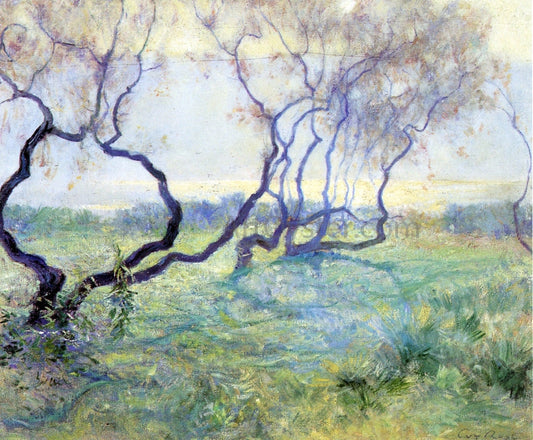 Guy Orlando Rose Tamarisk Trees in Early Sunlight - Canvas Print