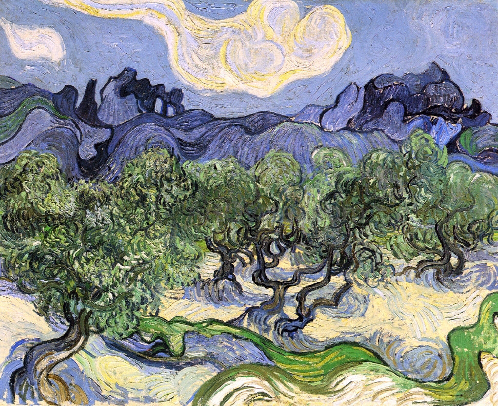  Vincent Van Gogh The Alpilles with Olive Trees in the Foreground - Canvas Print
