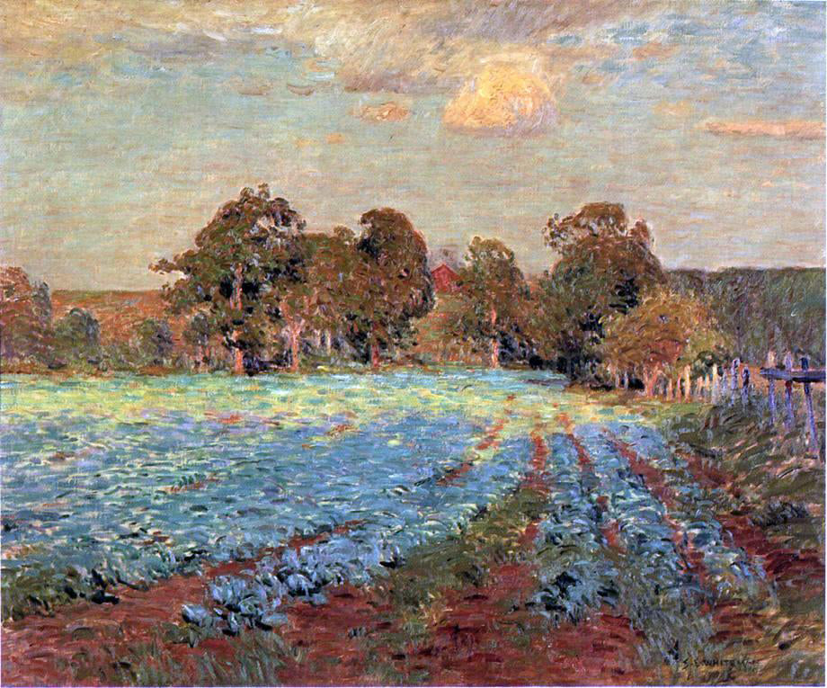  Samuel Edwin Whiteman The Cabbage Patch - Canvas Print