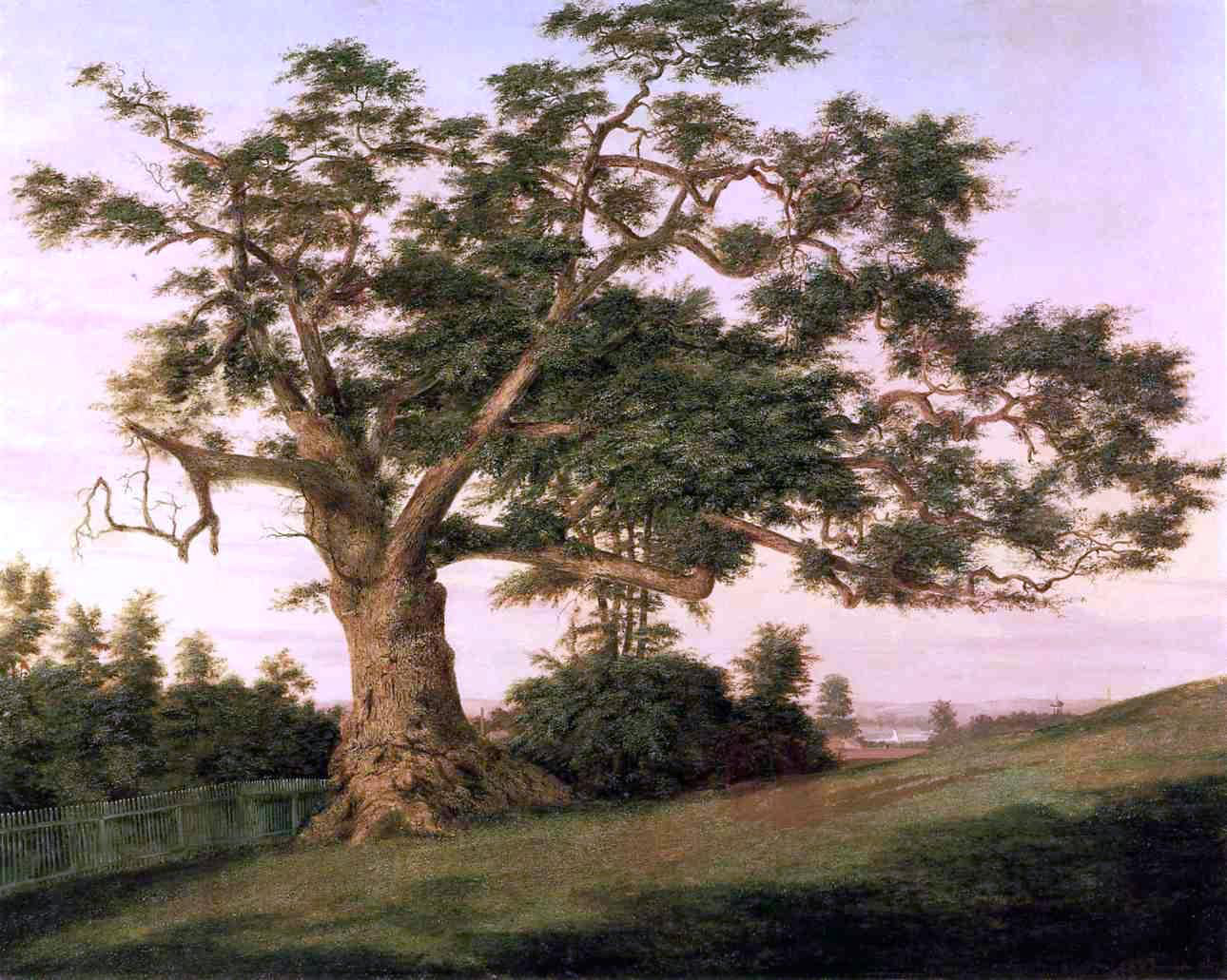  Charles De Wolf Brownell The Charter Oak - Canvas Print