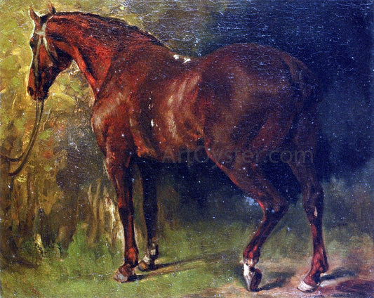  Gustave Courbet The English Horse of M. Duval - Canvas Print