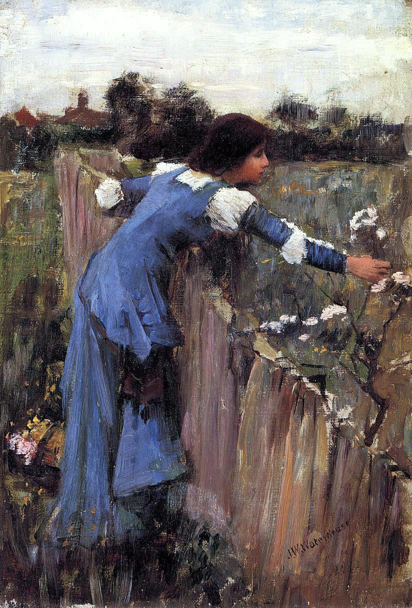  John William Waterhouse The Flower Picker (sketch) - Canvas Print