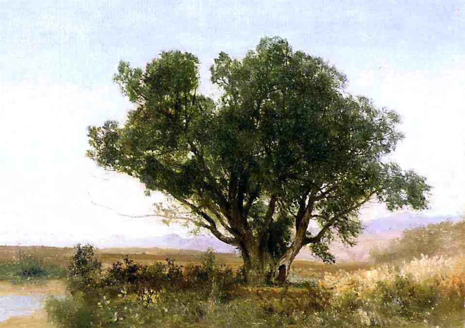  John Frederick Kensett The Front Range, Colorado - Canvas Print
