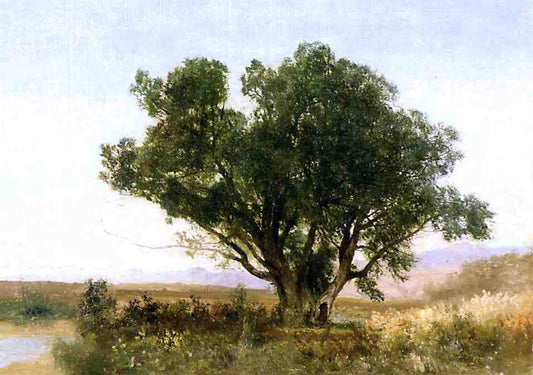  John Frederick Kensett The Front Range, Colorado - Canvas Print