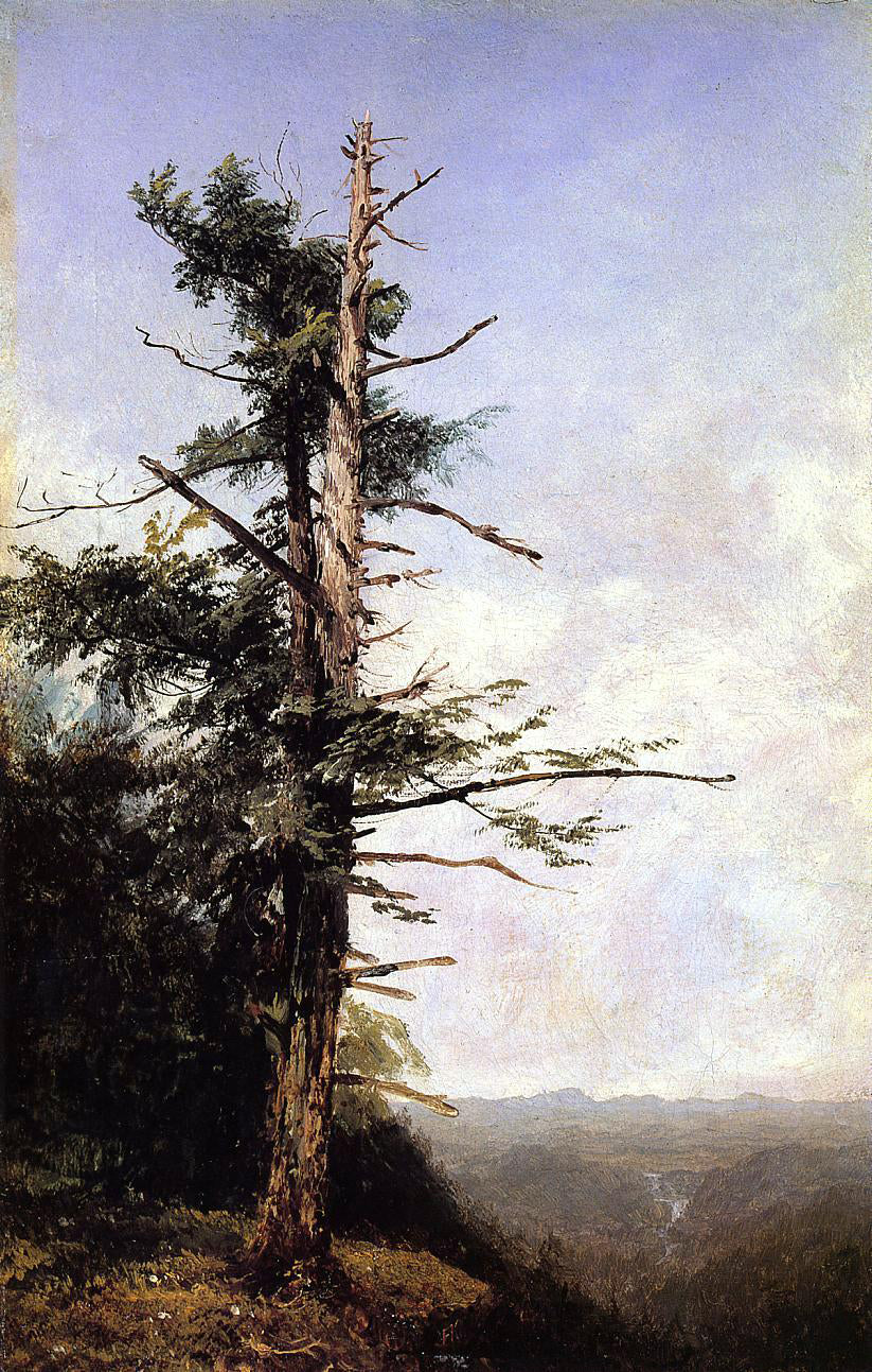  John Frederick Kensett The Hemlock - Canvas Print