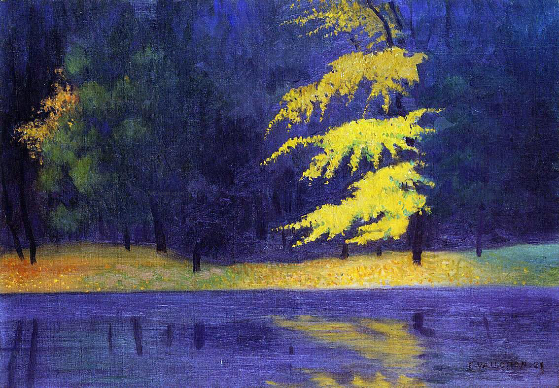  Felix Vallotton The Lake in the Bois de Boulogne - Canvas Print