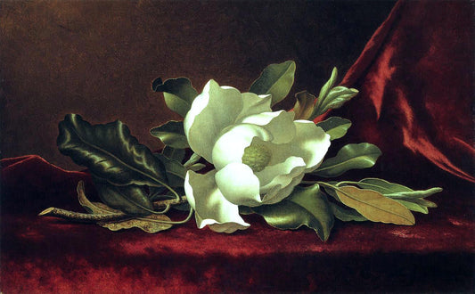  Martin Johnson Heade The Magnolia Blossom - Canvas Print