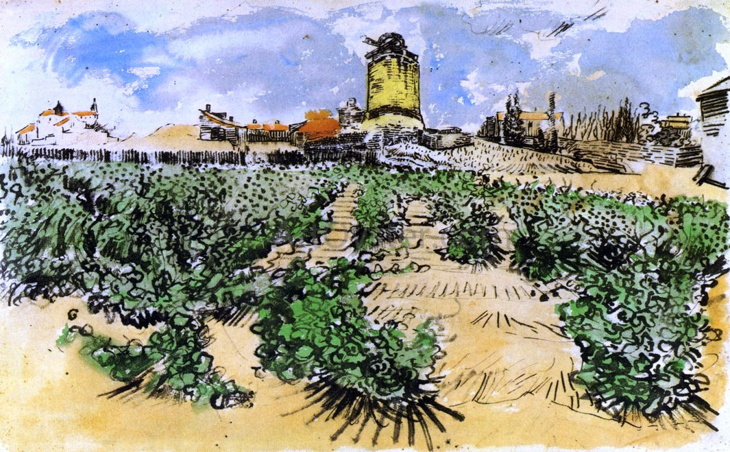 Vincent Van Gogh The Mill of Alphonse Daudet at Fontevieille - Canvas Print