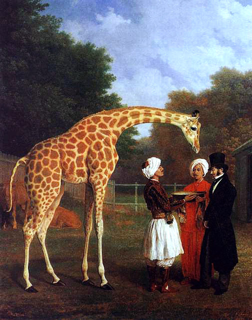  Jacques-Laurent Agasse The Nubian Giraffe - Canvas Print