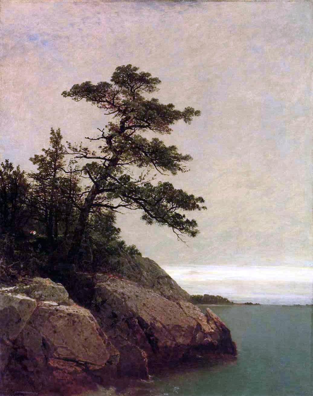  John Frederick Kensett The Old Pine, Darien, Connecticut - Canvas Print