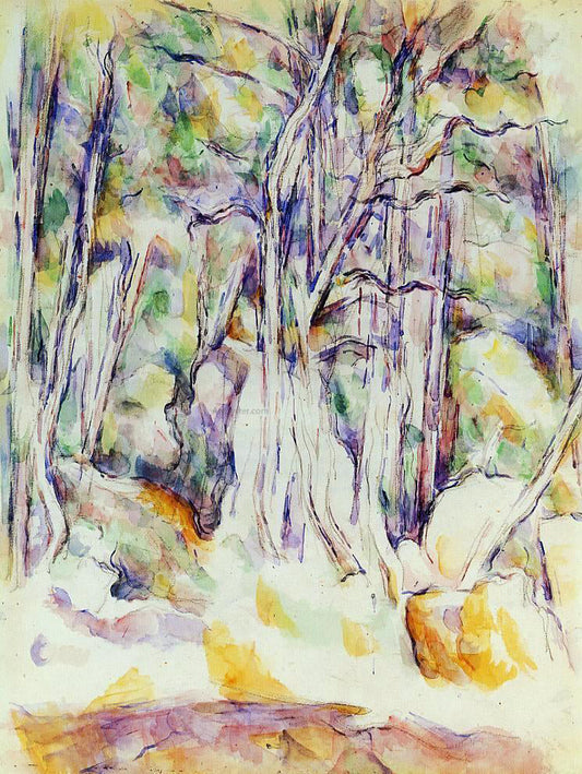  Paul Cezanne The Park of the Chateau Noir with Well - Canvas Print