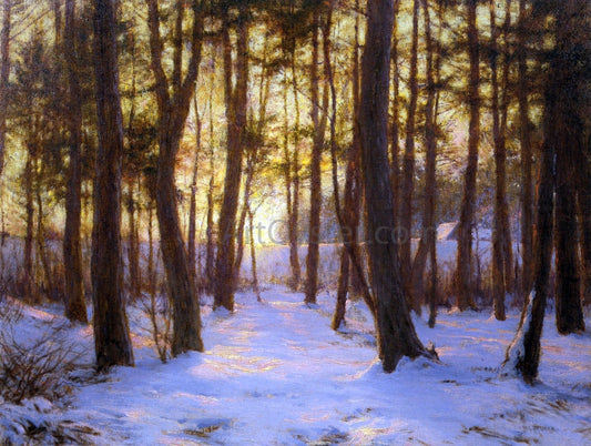  Walter Launt Palmer The Pine Coppice - Canvas Print