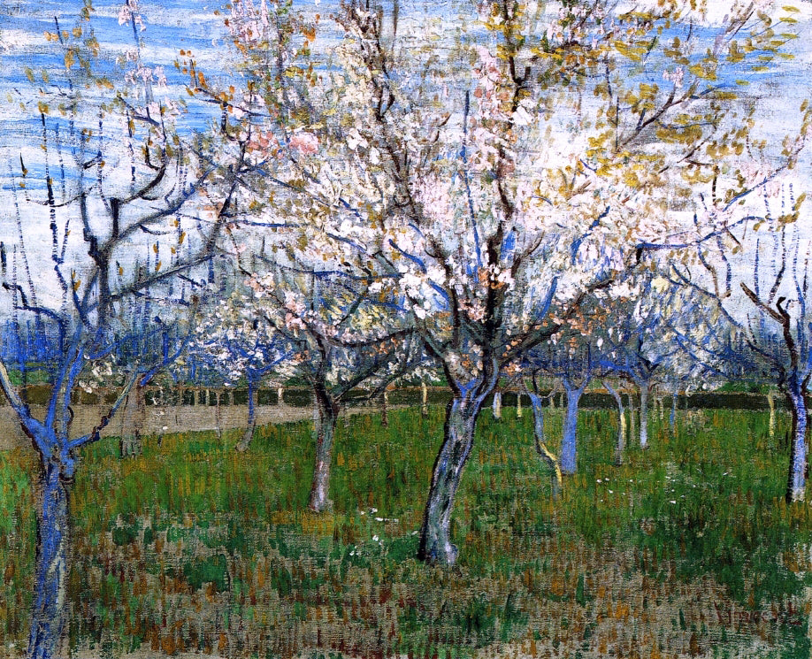  Vincent Van Gogh The Pink Orchard - Canvas Print