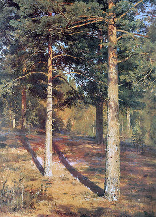  Ivan Ivanovich Shishkin The Sun-lit Pines - Canvas Print