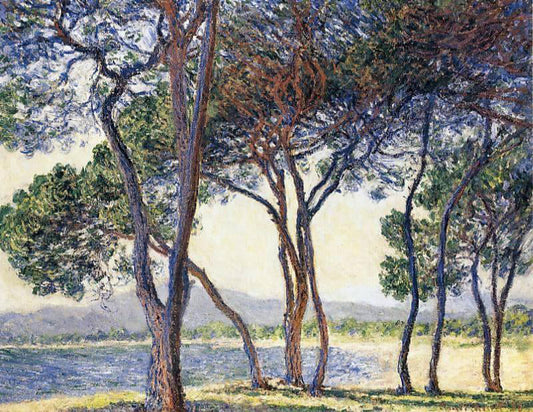  Claude Oscar Monet Trees by the Seashore at Antibes - Canvas Print
