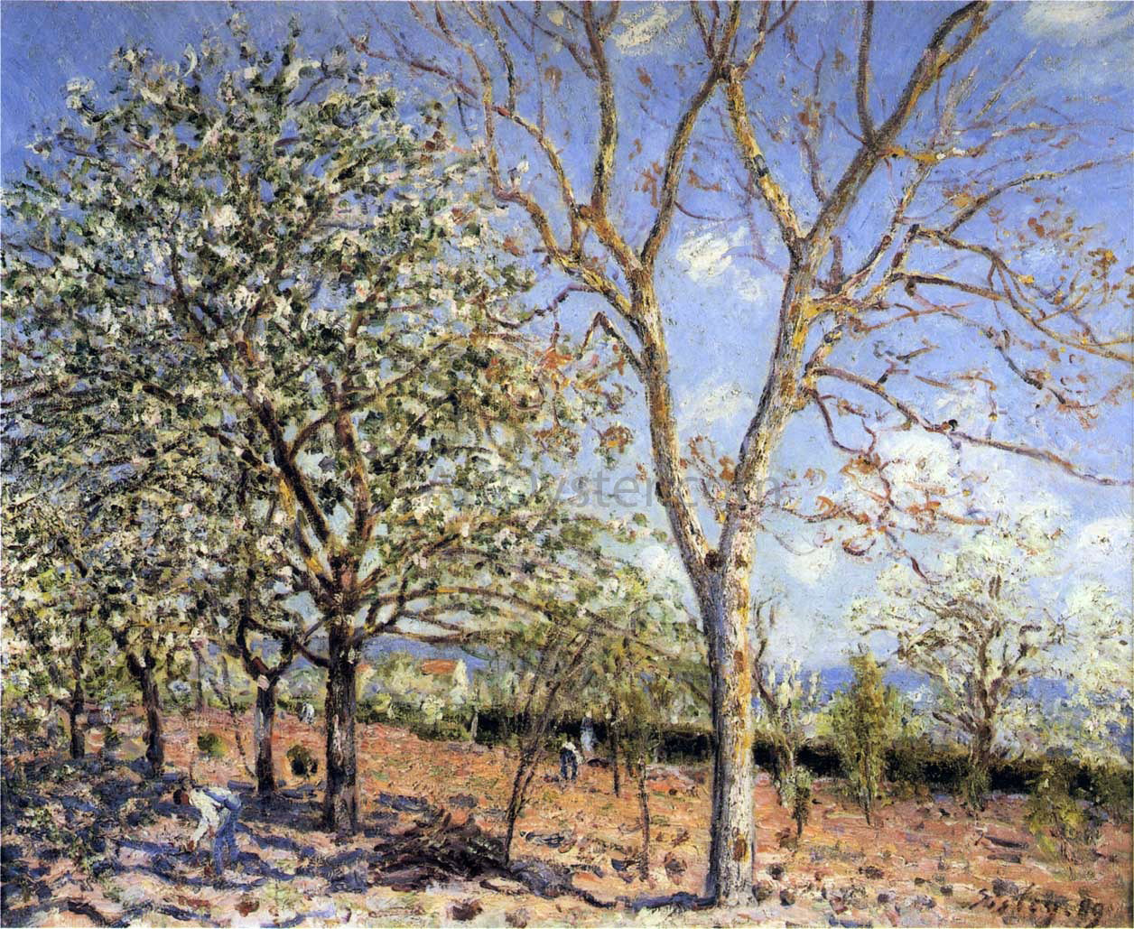  Alfred Sisley Trees in Bloom - Canvas Print